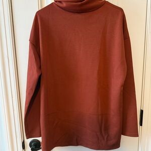 Rust Turtleneck Sweater